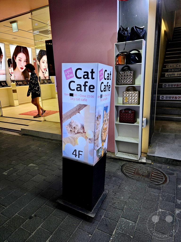 Südkorea - Seoul - Myeongdong Street