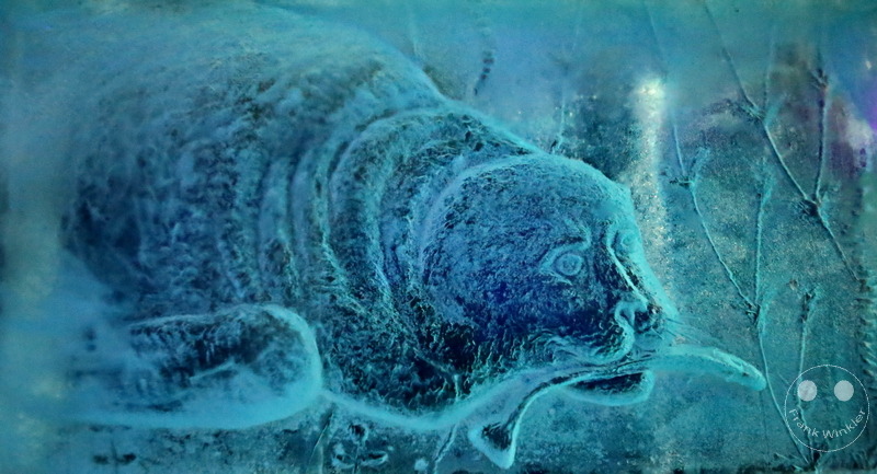 Norway - Magic Ice - Svolvær - Lofoten