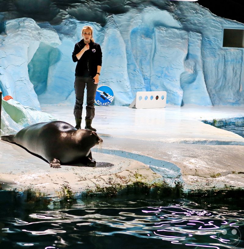 Norway - Tromsø - Polaria aquarium