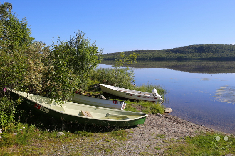 Norway - Øvre-Pasvik-Nationalpark