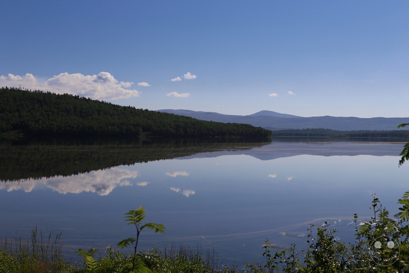 Norway - Øvre-Pasvik-Nationalpark