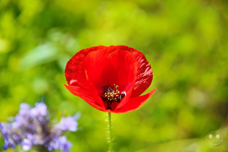 Norway - Røkenes Gård og Gjestehus