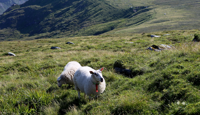 Norway - Westkap-Plateau