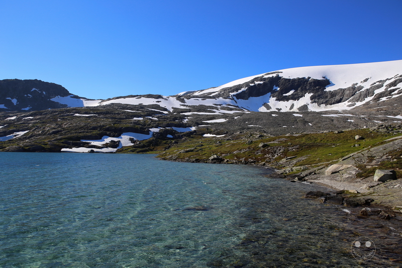 Norway - Nibbevegen - Djupvass-Hütte