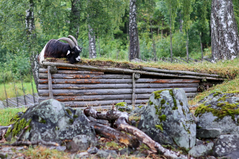 Norway - Maihaugen Freilichtmuseum - Lillehammer