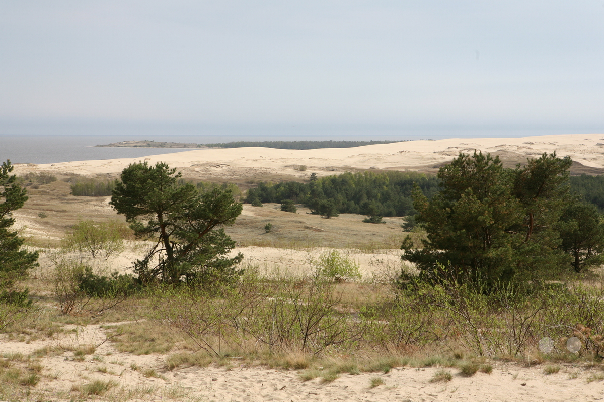 Litauen - Nida - Parniddener Düne