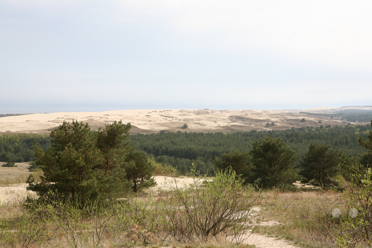 Litauen - Nida - Parniddener Düne