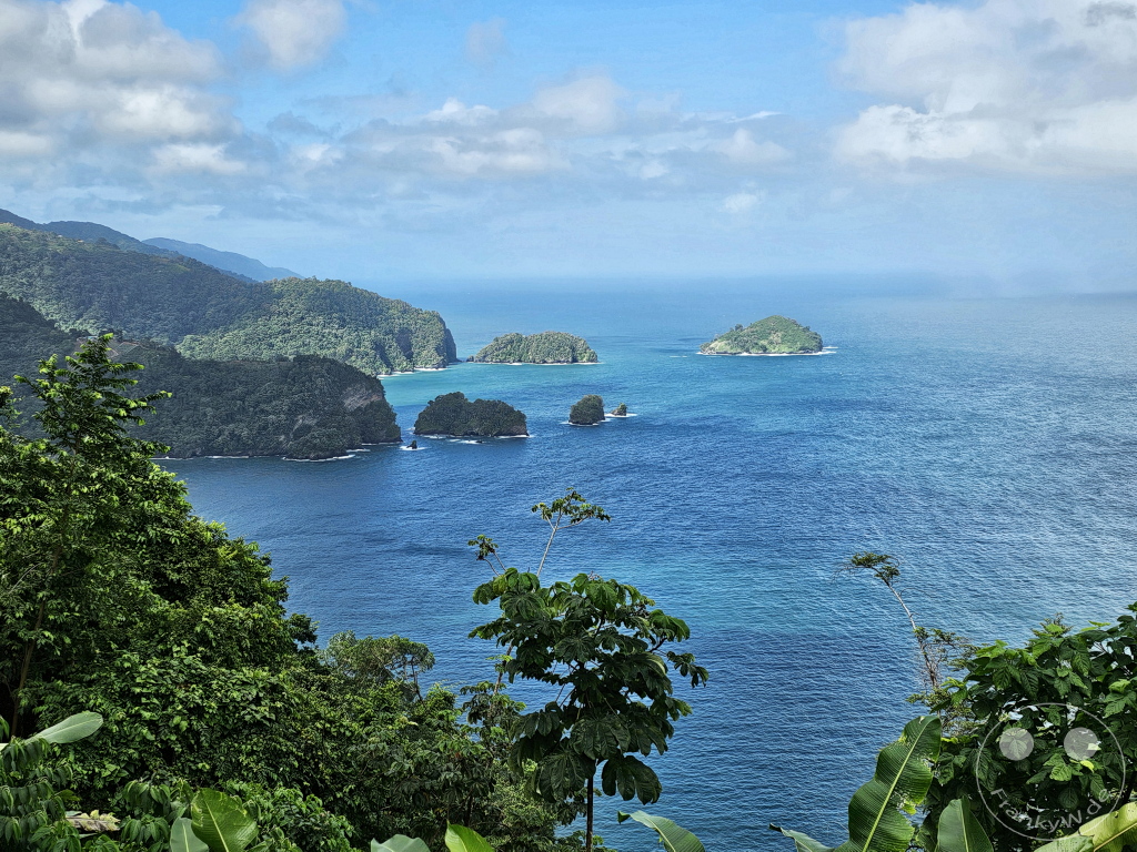 Trinidad - Maracas Lookout