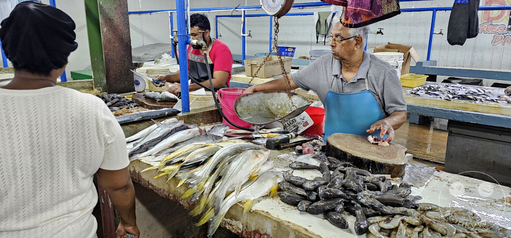 Trinidad - Chaguanas Market - Fish