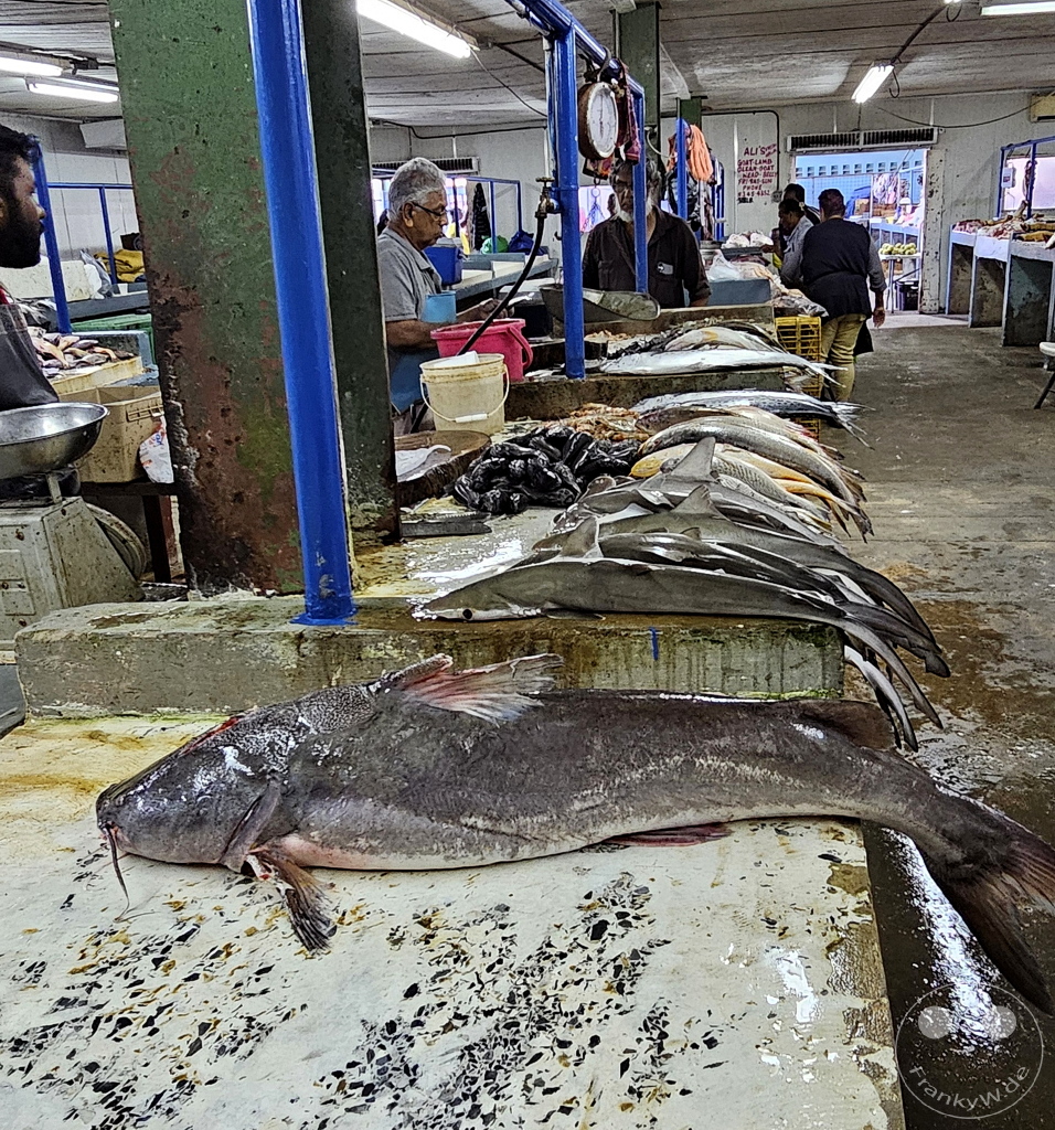 Trinidad - Chaguanas Market - Fish