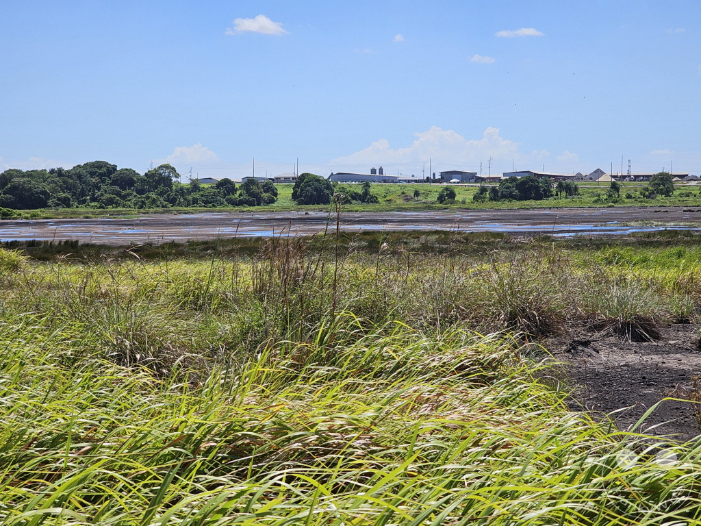 Trinidad - La Brea Pitch Lake