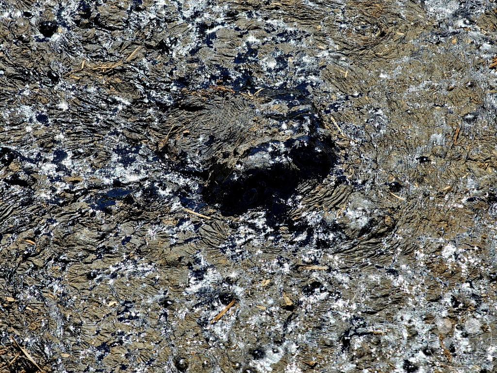 Trinidad - La Brea Pitch Lake