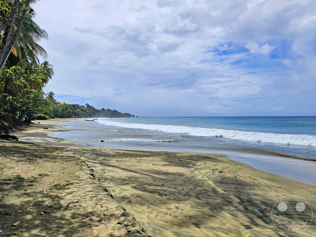 Tobago - Buccoo Beach