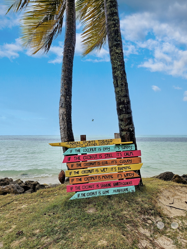 Tobago - Pigeon Point Beach - Weather forecast