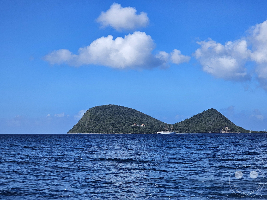 Dominica - Whale watching