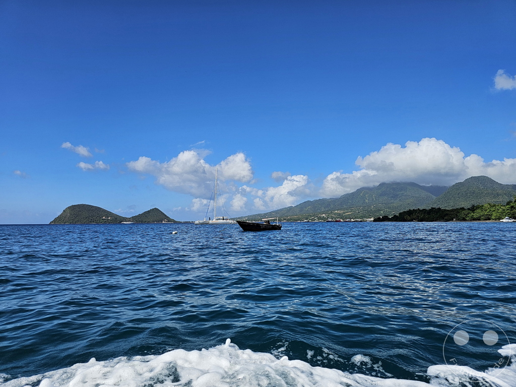 Dominica - Whale watching