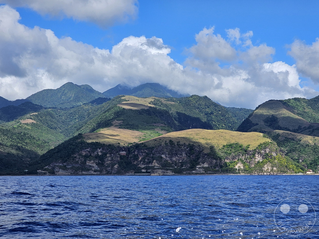 Dominica - Whale watching