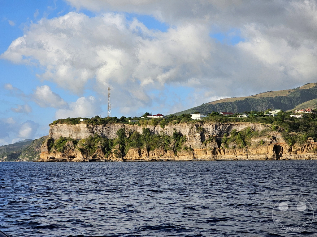 Dominica - Whale watching