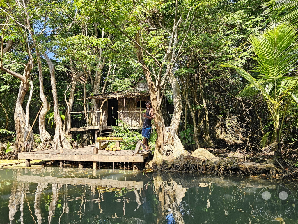 Dominica - Indian River - Set from the movie “Pirates of the Caribbean” - Hut of the voodoo priestess Tia Dalma