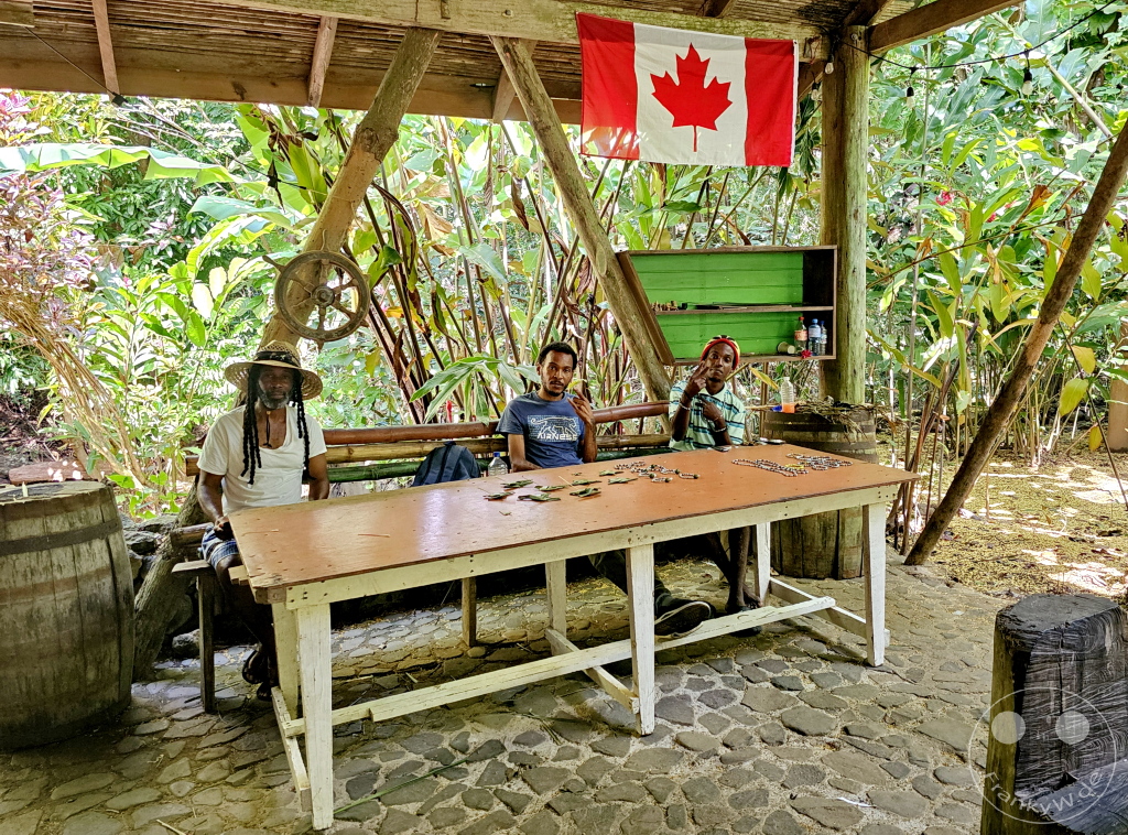 Dominica - Indian River - Bush Bar