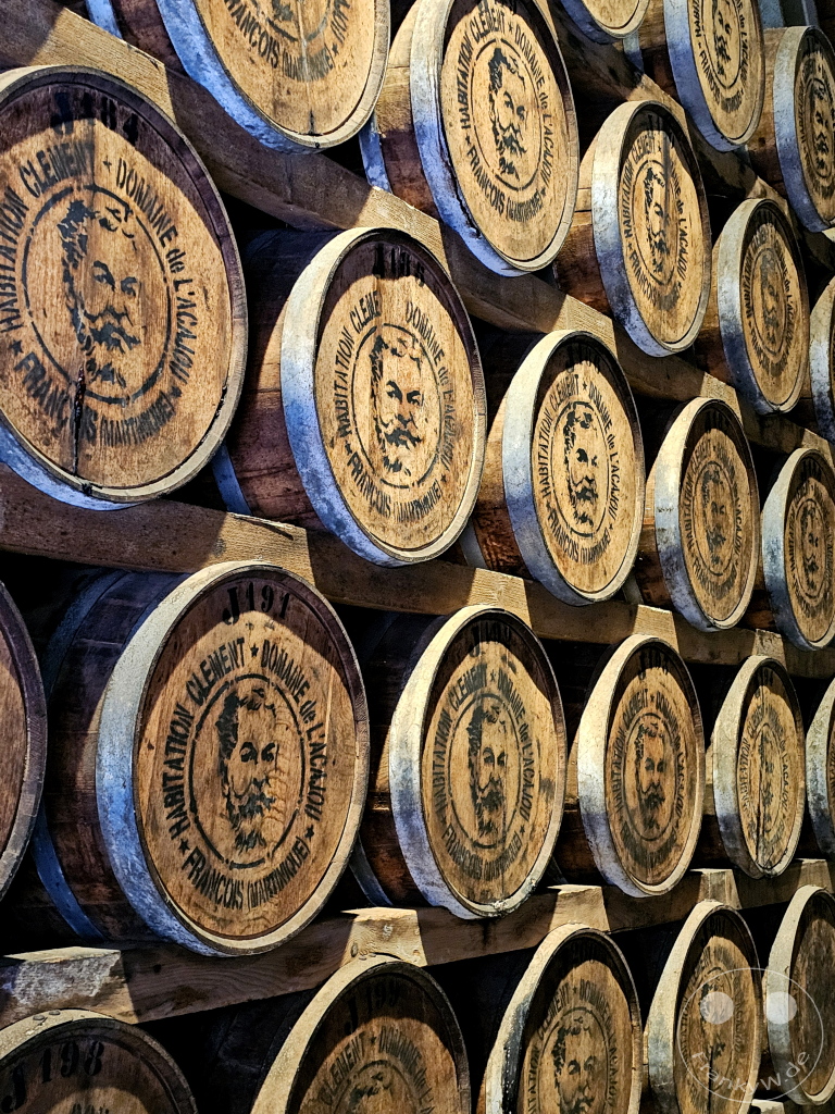 Martinique - Destillerie Habitation Clément - Rum barrels