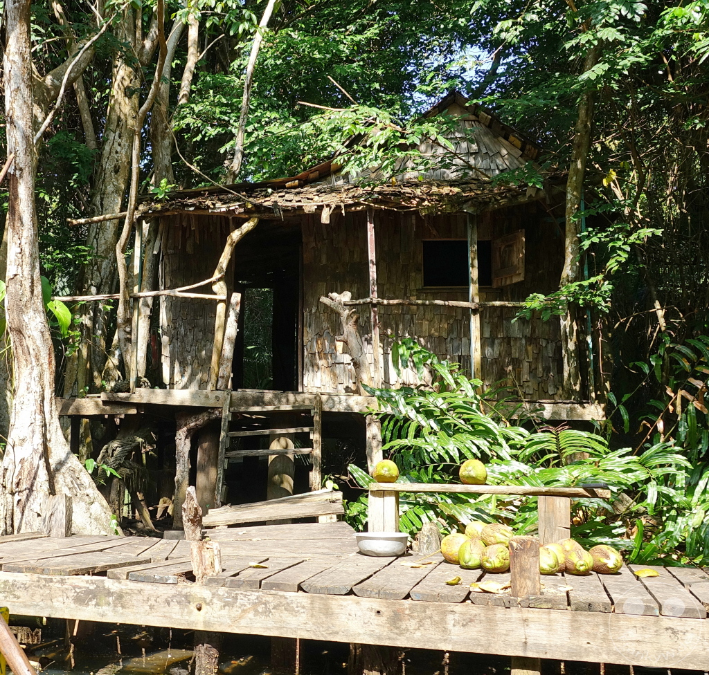 Dominica - Indian River - Set from the movie “Pirates of the Caribbean” - Hut of the voodoo priestess Tia Dalma