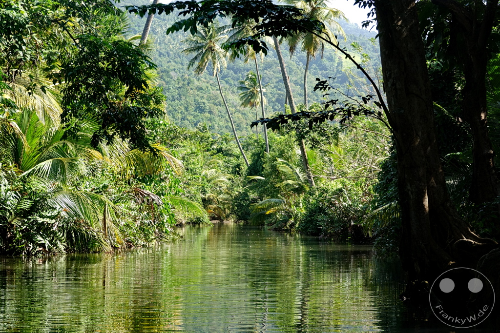 Dominica - Indian River
