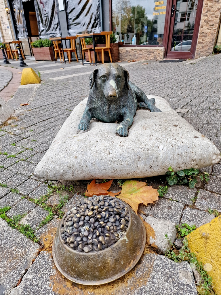Turkey - Istanbul - Kadıköy - Moda - statue of friendly stray dog Tarçın from Sculptor İskender Giray from Moda
