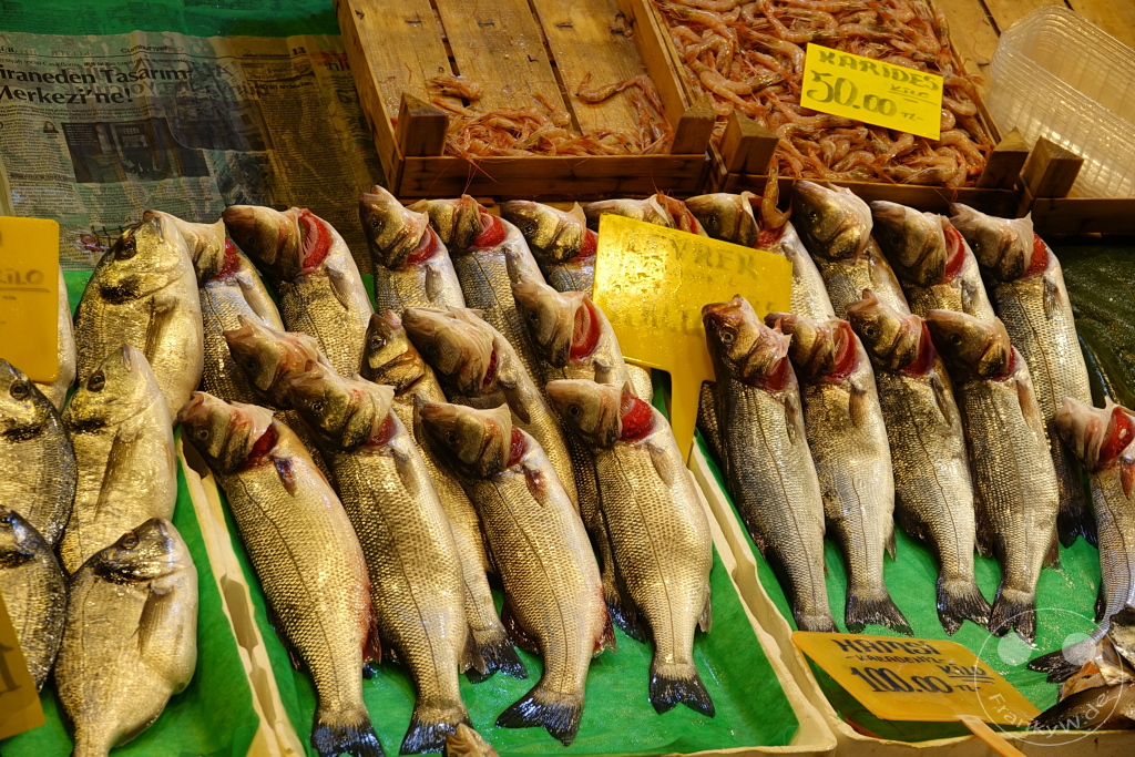 Turkey - Istanbul - Kadıköy - fish market