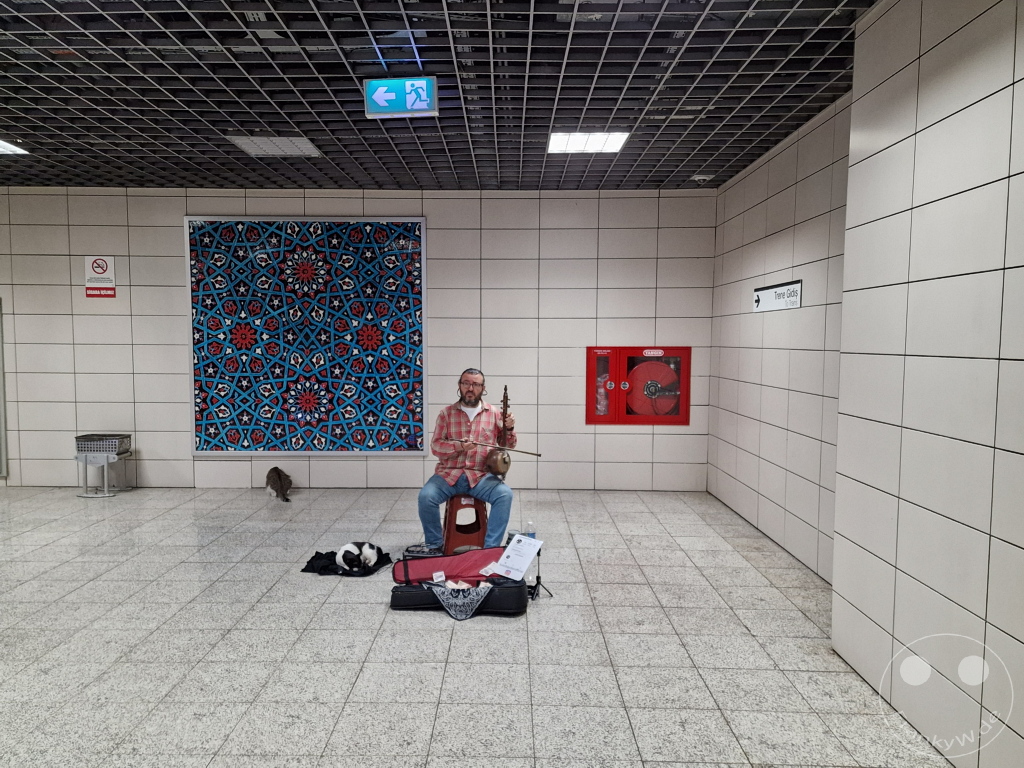 Turkey - Istanbul - Sirkeci Marmaray - Metro - Street musician with cats