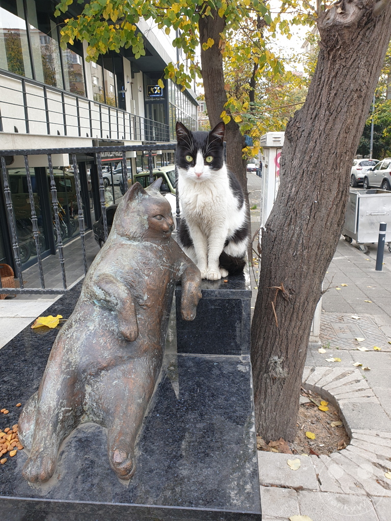 Turkey - Istanbul - Kadikoy - famous street cat Tombili - Bronze statue in Ziverbey