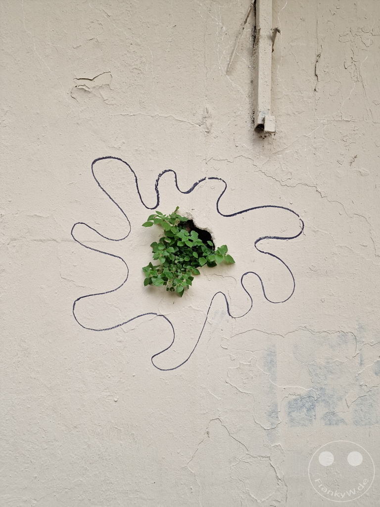 Turkey - Istanbul - Kadikoy - Yeldeğirmeni - Streetart - Wall gap - tree