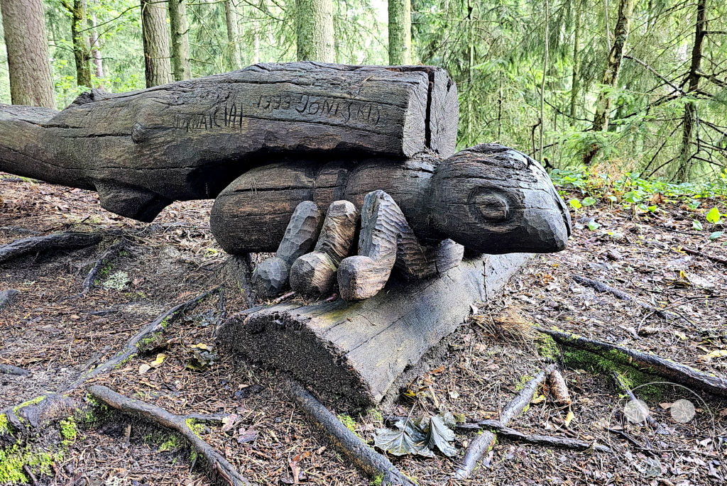 Litauen - Nationalpark Kurische Nehrung - Hexenhügel