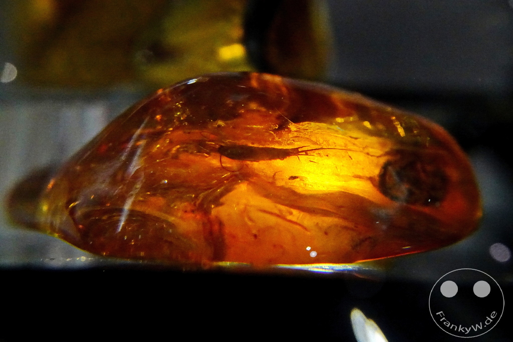 Litauen - Vilnius - Bernsteinmuseum