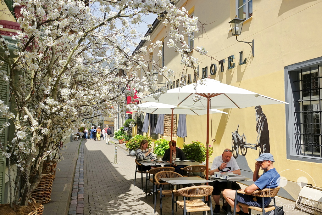 Litauen - Vilnius - Gaono g. - Schmale Gasse