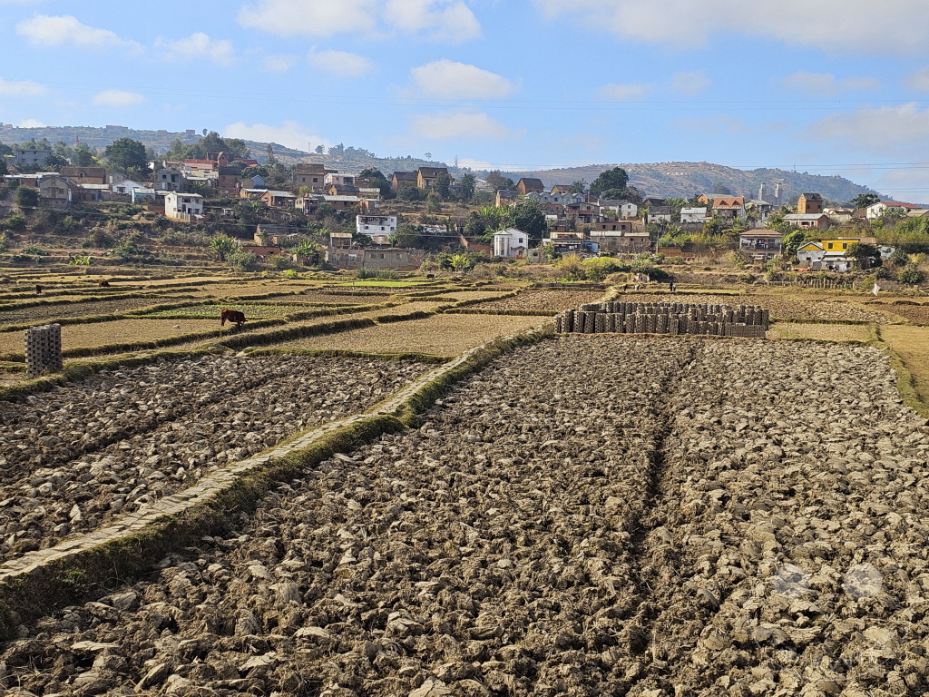 Madagaskar - Antananarivo - Tana - Streetlife - Tonziegel - Herstellung - brennen