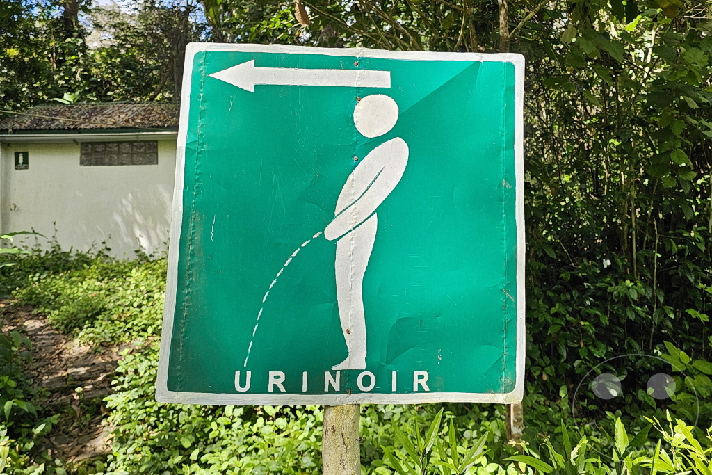 Madagaskar - Andasibe - Nationalpark Réserve spéciale d'Analamazaotra - im Stehen pinkeln :-))