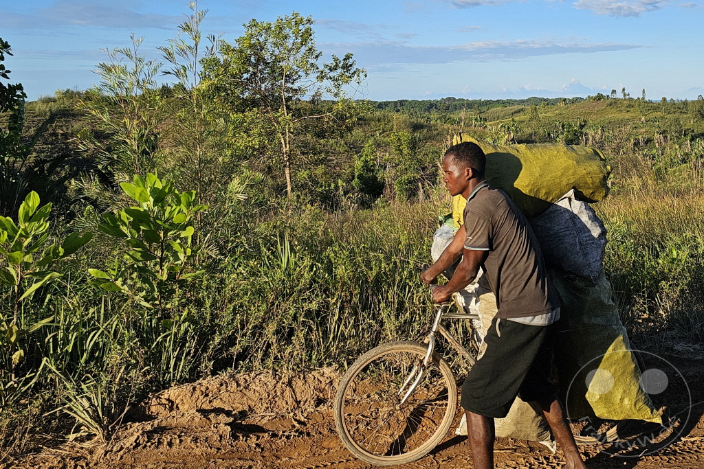 Madagaskar - Manambolo - Streetlife