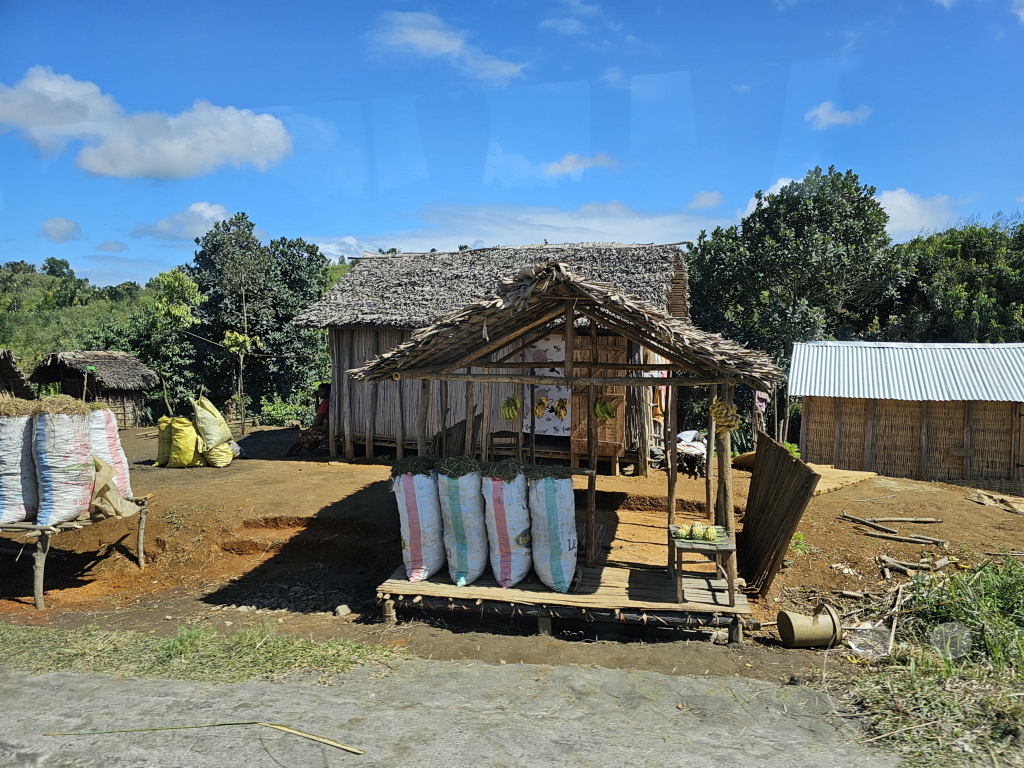 Madagaskar - bei Antsampanana - Streetlife - Stroh- und Obstverkauf