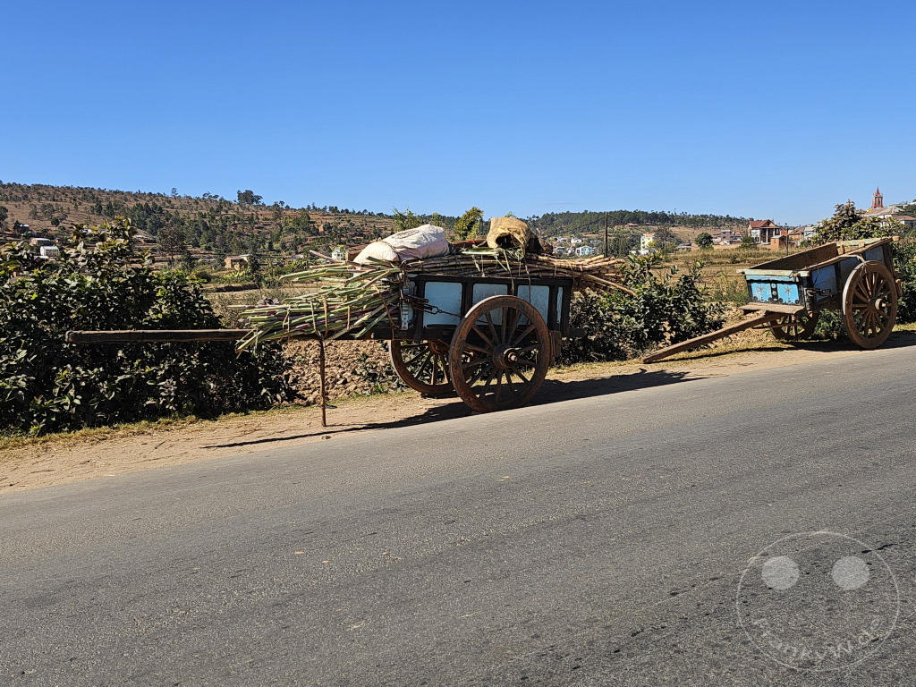 Madagaskar - Behenjy - Streetlife - Ochsenkarren