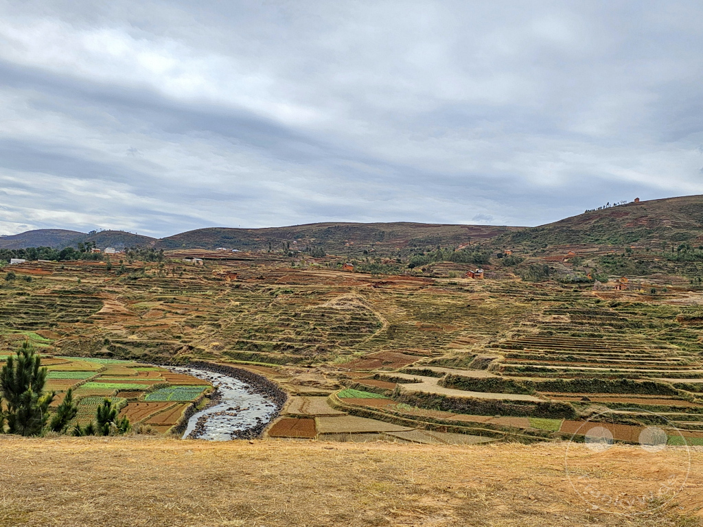 Madagaskar - Antsampanimahazo - Landschaft - Reisfelder