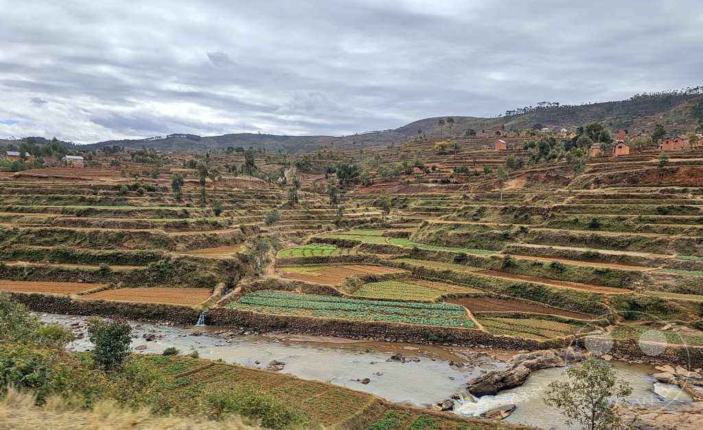 Madagaskar - Antsampanimahazo - Landschaft - Reisfelder