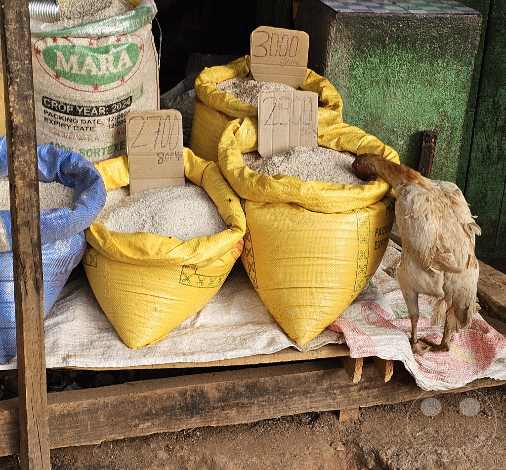 Madagaskar - Antsirabe - Streetlife - Straßenhändler - bester Reis - Testesser :-))