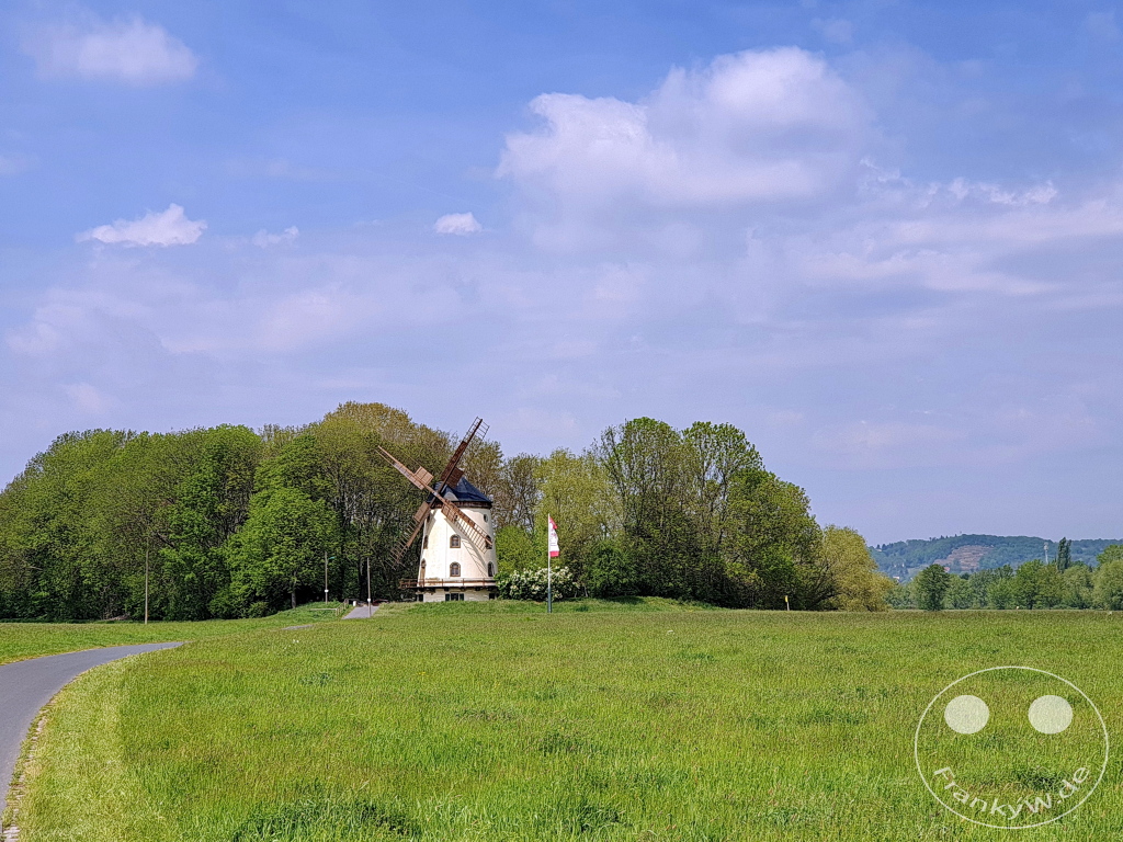 Deutschland - Dresden - Gohliser Windmühle