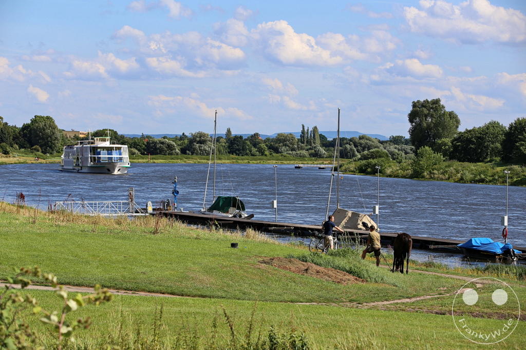 Deutschland - Dresden - Wachwitz - Elbe - Sächsische Dampfschifffahrt - Weiße Flotte Sachsen - MS „August der Starke“