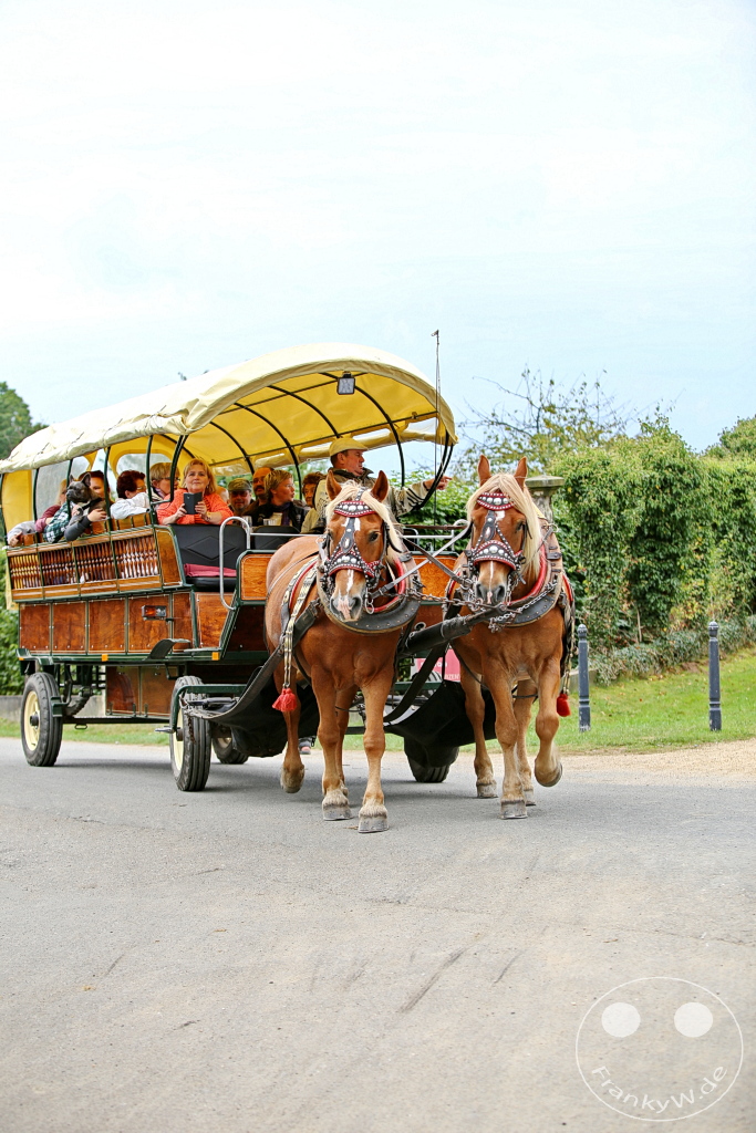 Deutschland - Moritzburg - Fasanenschlösschen - Pferdekutsche