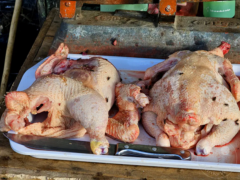 Madagaskar - Perinet - Streetlife - Hühnchen mit "Rosinen"