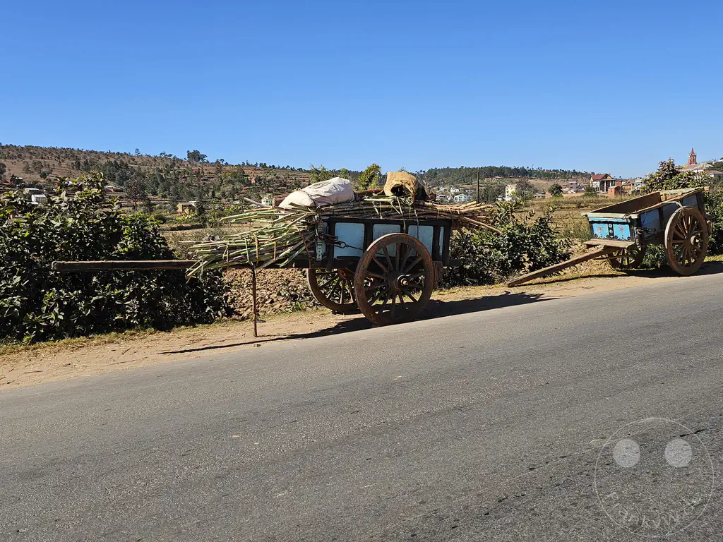 Madagaskar - Behenjy - Streetlife - Ochsenkarren