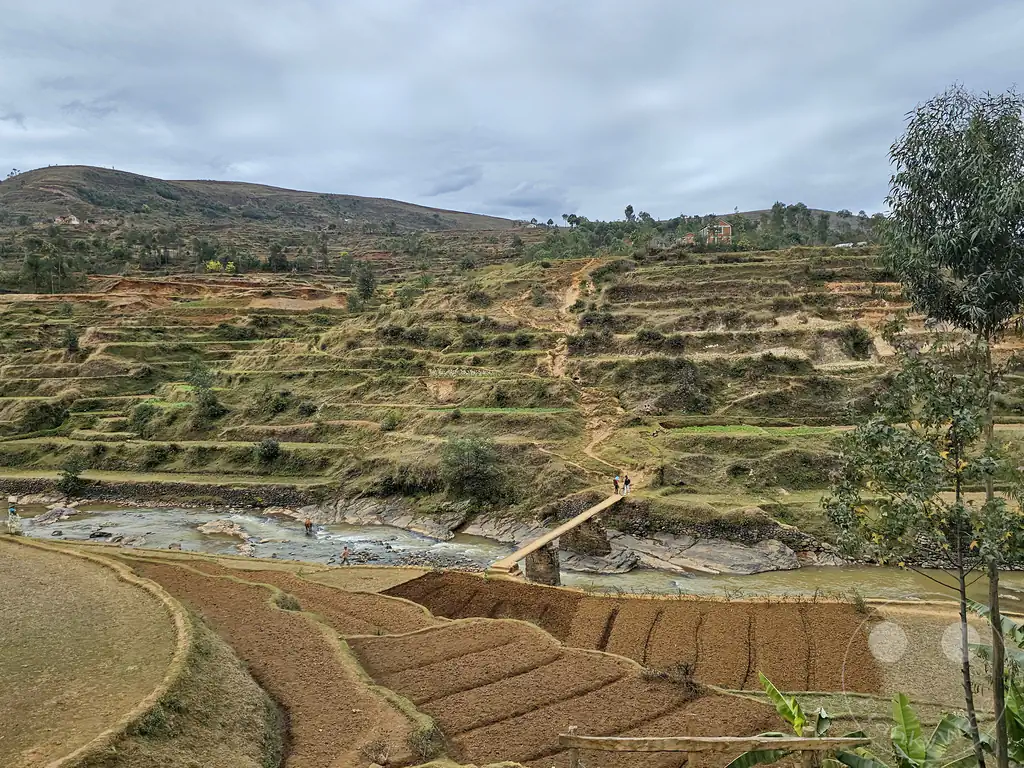 Madagaskar - Antsampanimahazo - Landschaft - Reisfelder