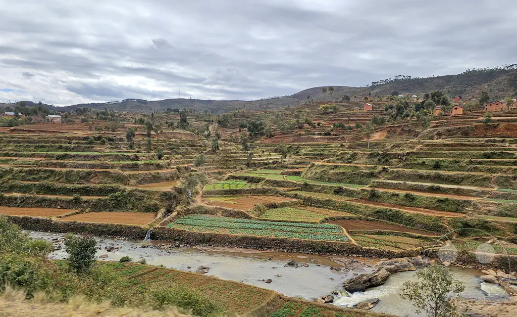 Madagaskar - Antsampanimahazo - Landschaft - Reisfelder
